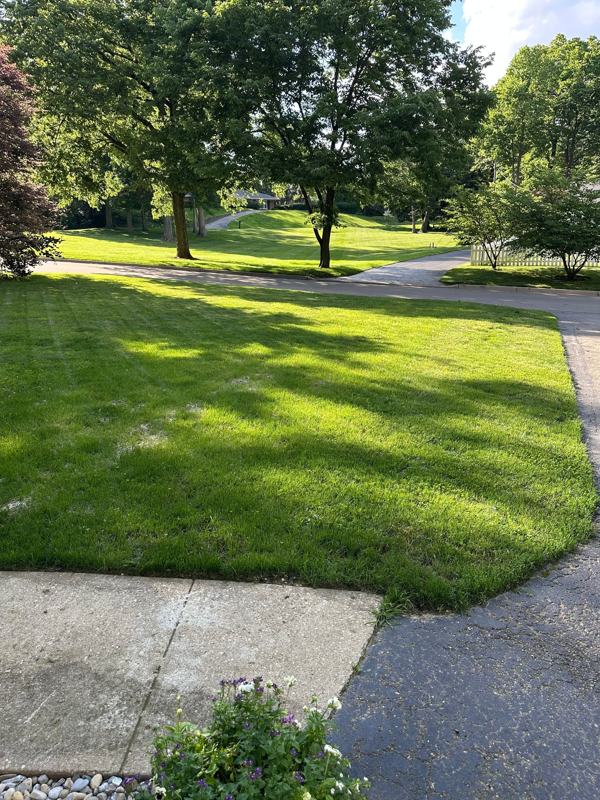 Gallery photos for Yard Grading Project: Image #1