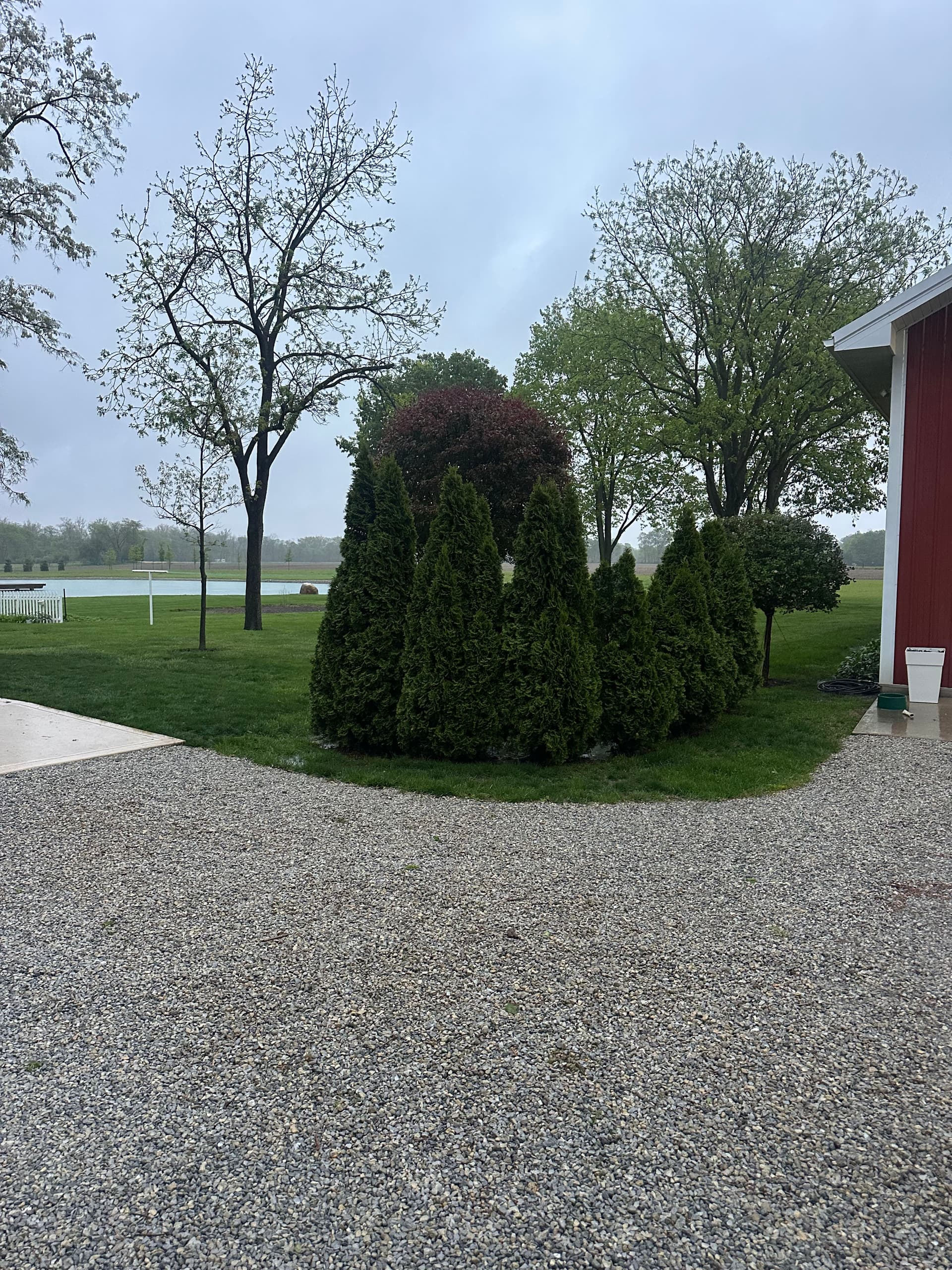 Gallery photos for Stone Curbing, Cobblestones and Zelkova Trees in Lewisburg: Image #5
