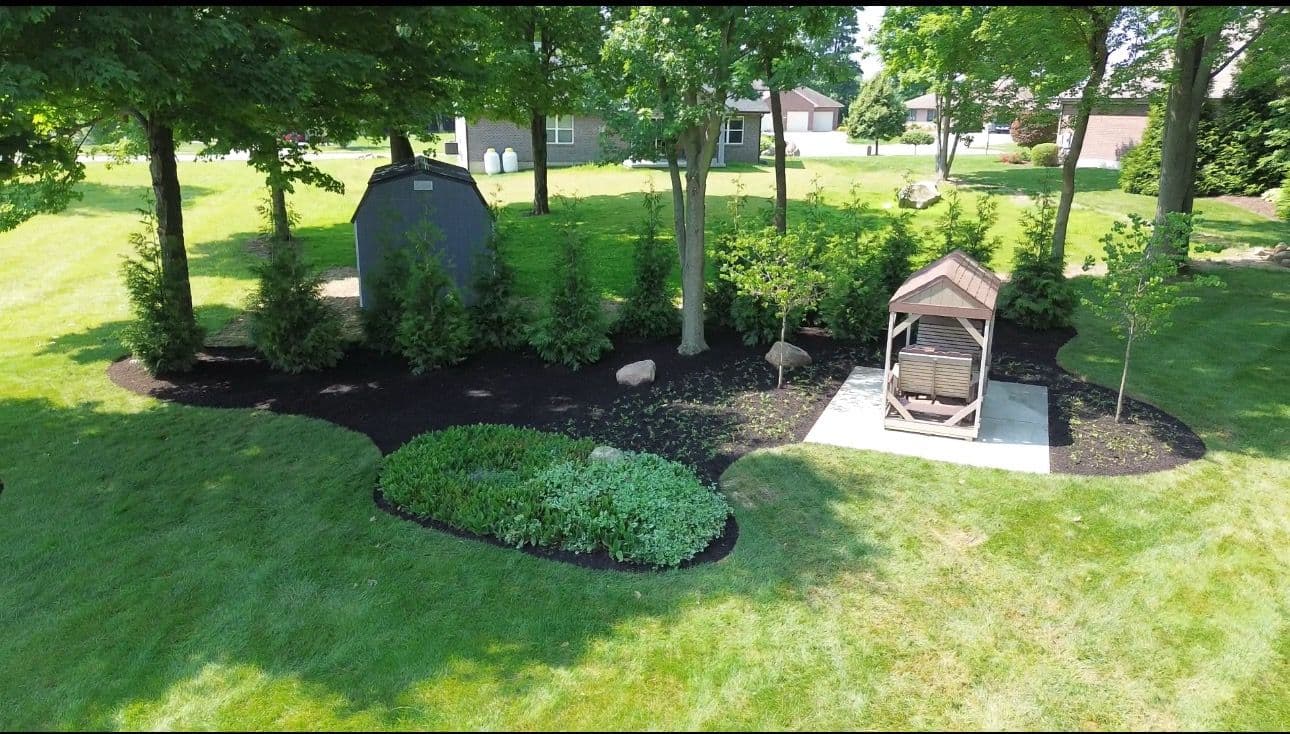 Elegant Privacy Landscaping with Arborvitae
