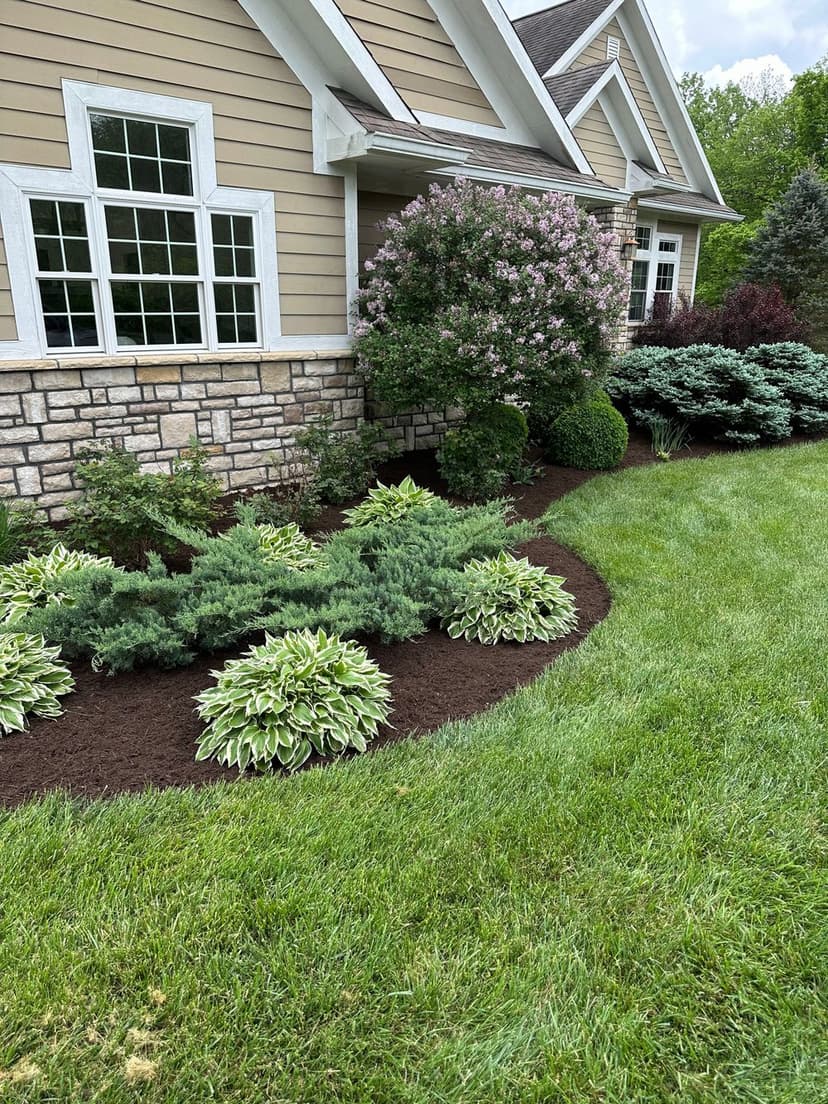Landscape Design's image