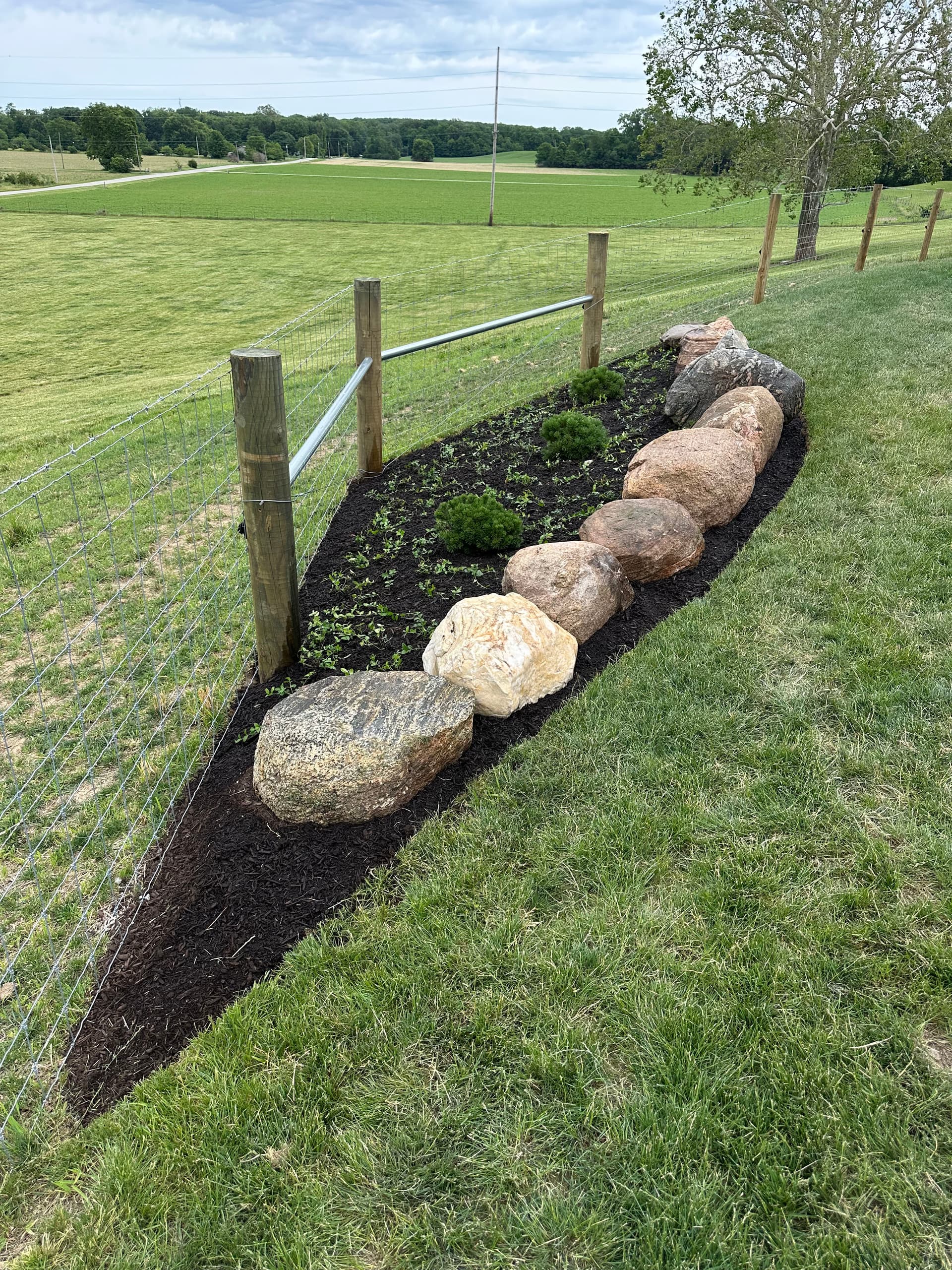 Gallery photos for New Landscape Install with Boulders and Stone Steps in Covington: Image #6