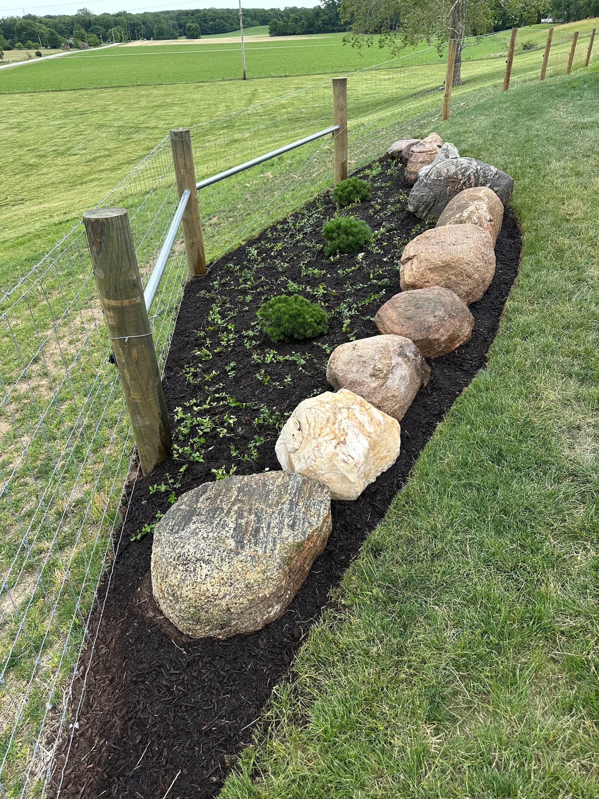 Gallery photos for New Landscape Install with Boulders and Stone Steps in Covington: Image #5